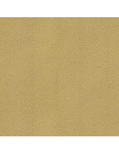 ROBERTO CAVALLI 8 - 0219017RC 2