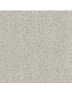 ROBERTO CAVALLI 8 - 0219027RC 2