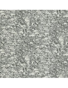 ROBERTO CAVALLI 8 - 0219035RC 2