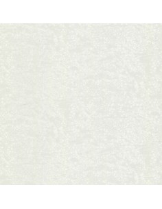 ROBERTO CAVALLI 8 - 0219039RC 2