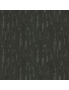 ROBERTO CAVALLI 8 - 0219067RC 2