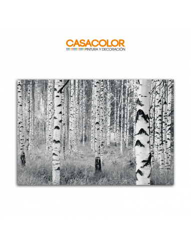 FOTO MURAL KOMAR WOODS V8-724 400X270CM