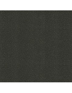 ROBERTO CAVALLI 8 - 0219023RC 2