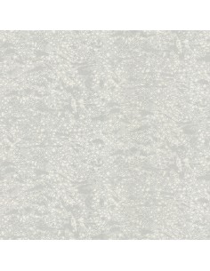 ROBERTO CAVALLI 8 - 0219034RC 2