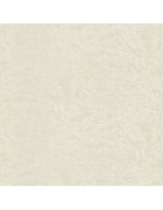 ROBERTO CAVALLI 8 - 0219037RC 2