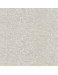 ROBERTO CAVALLI 8 - 0219038RC 2