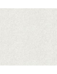 ROBERTO CAVALLI 8 - 0219052RC 2