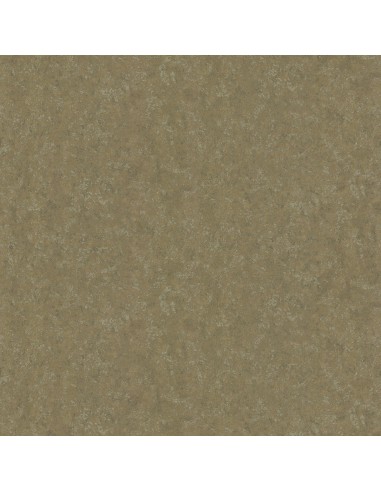 Roberto Cavalli 19053