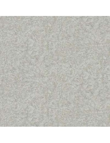 PAPEL ROBERTO CAVALLI-8 19057