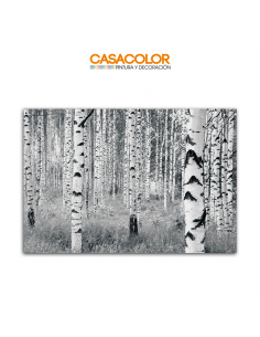 FOTO MURAL KOMAR WOODS...